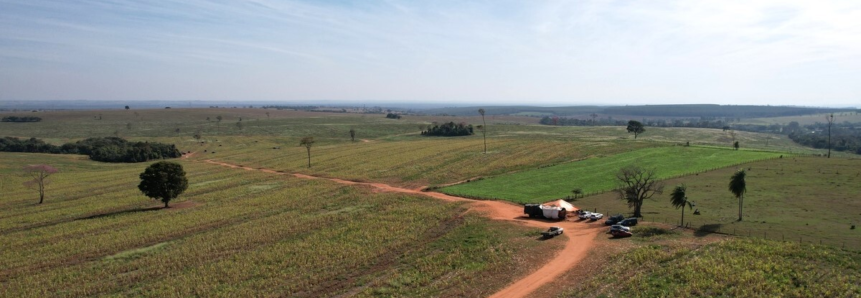 Invasões no campo levam insegurança e prejuízo generalizado ao Oeste do Paraná