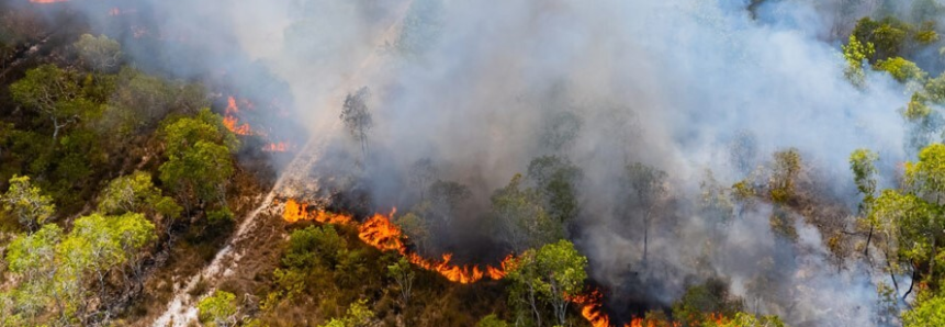 Paraná está próximo de bater recorde histórico de incêndios no meio rural