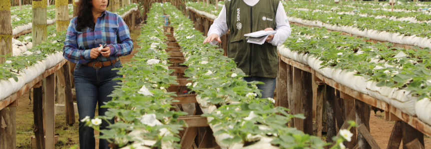 Sistema FAEP contrata técnicos e supervisores de campo para ATeG