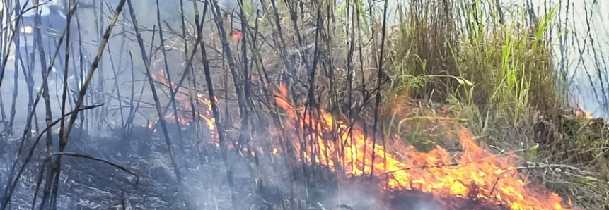 Paraná bate recorde de incêndios rurais