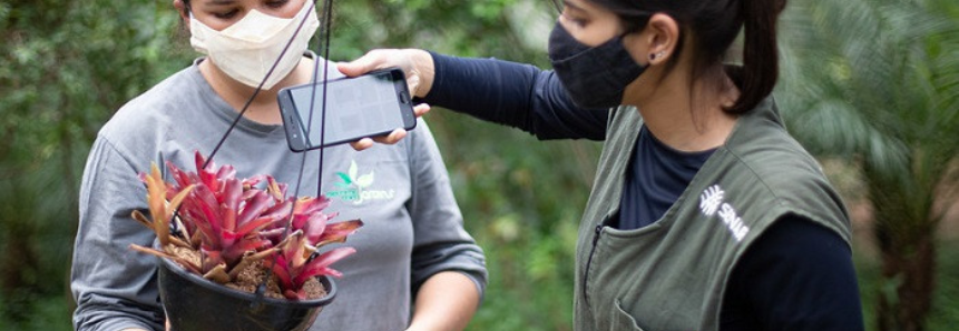 Senar abre seleção para cursos técnicos em agronegócio, fruticultura e zootecnia