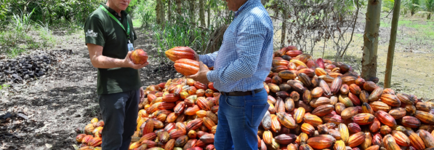 Assistência Técnica e Gerencial gratuita para 200 produtores de cacau do Espírito Santo