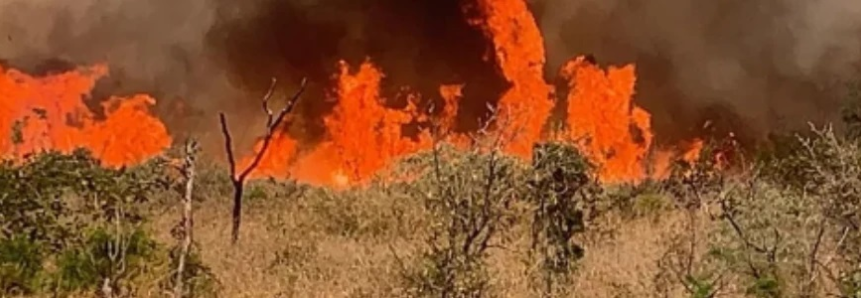 Decreto Federal endurece as penalidades para incêndios em vegetação