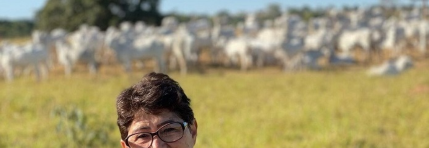 Empreendedorismo da cidade ao campo