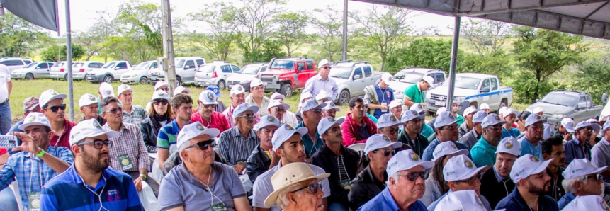 "Dia de Campo" promove práticas agrícolas sustentáveis no Agreste pernambucano