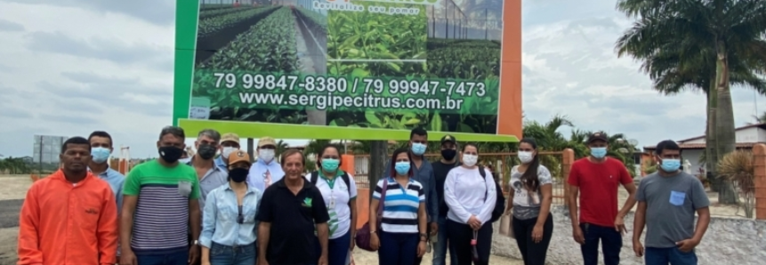 Alunos do curso técnico de Fruticultura visitam empresa referência na produção de mudas de citrus