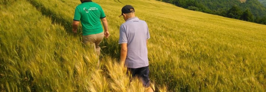 Em visitas virtuais, Juntos para Competir valoriza produtores do Pampa