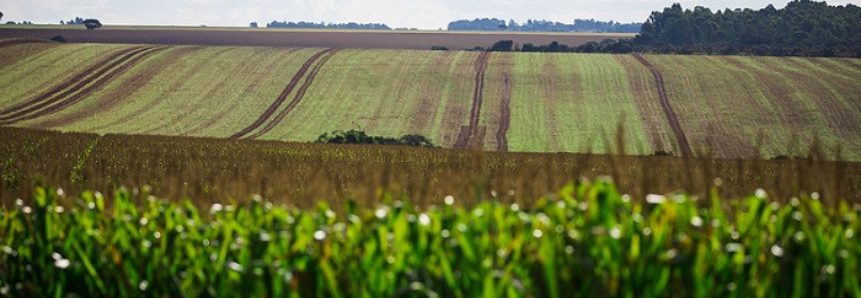 Sistema CNA/Senar apresenta resultados dos custos de produção no campo