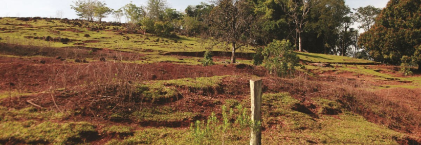 Análise: manejo incorreto gera perdas no solo e encarece custos de produção