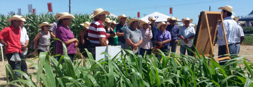 Avanço no compartilhamento de informações do Senar/MS acompanha evolução do campo no estado