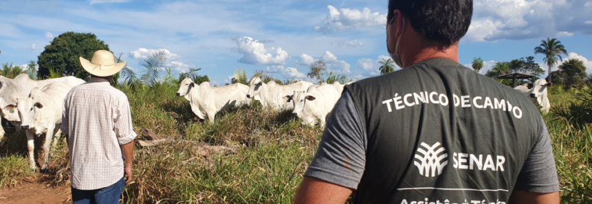 Propriedade rural de Tocantinópolis melhora pastagens com a Assistência Técnica e Gerencial