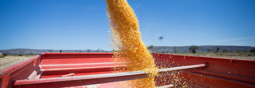 CNA defende no Senado aprovação de Projeto de Lei que devolve os benefícios tributários para a agropecuária