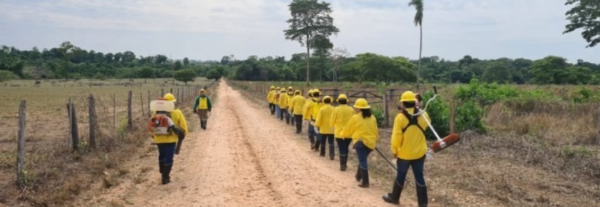 Senar-MT disponibiliza novos treinamentos sobre formação de brigada de incêndio