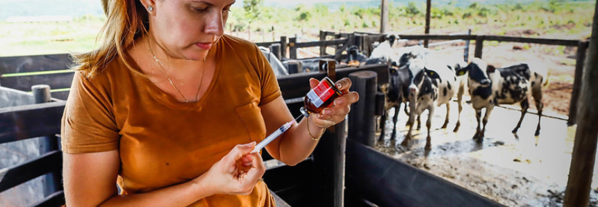 CNA discute panorama trabalhista e previdenciário no Agro