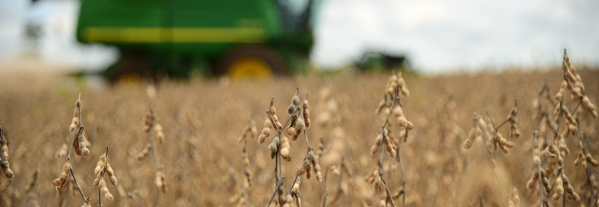 Preço médio da saca de soja em Mato Grosso do Sul tem valorização de 60%