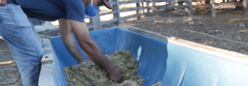 Fazenda é transformada com a chegada da Assistência do Senar