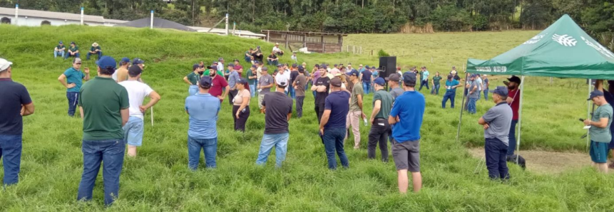 Dia de Campo mostra evolução de propriedade atendida pela ATeG Bovinocultura de Corte em Entre Rios