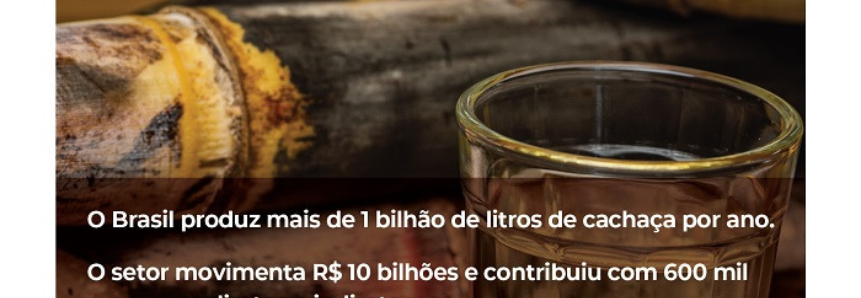 Dia da Cachaça – Patrimônio nacional, bebida gera renda e emprego