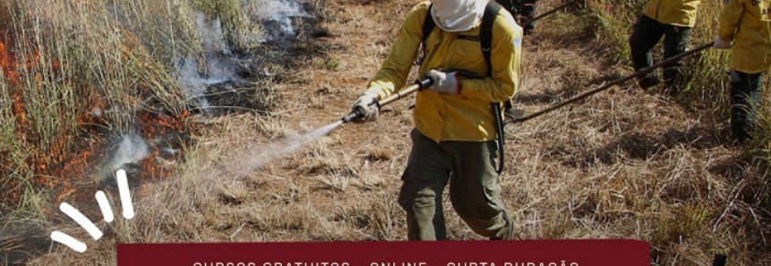 Senar lança minicursos para ensinar técnicas de prevenção ao fogo