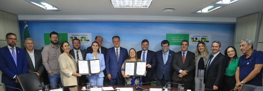 Parecer favorável da Embrapa fortalece regularização da agropecuária nas áreas úmidas do Araguaia e Guaporé