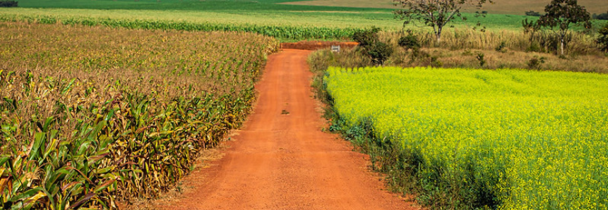 CNA debate licenciamento ambiental no Senado