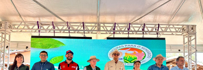 Dia de Campo em Colinas destaca avanços do Projeto Forrageiras para o Semiárido