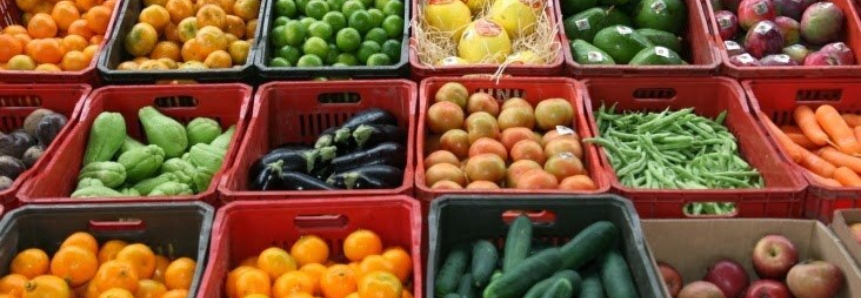 Comissão Técnica de Hortifruticultura debate gargalos do setor