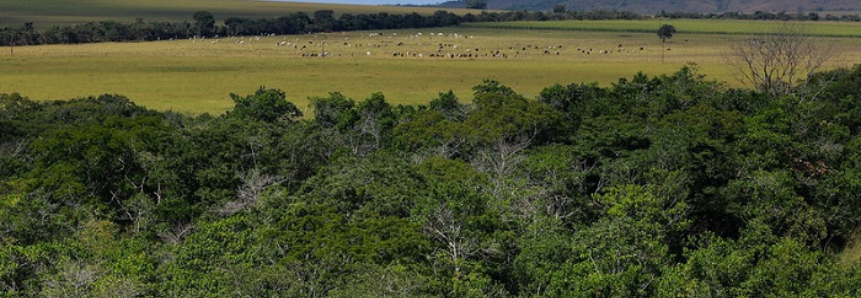 CNA debate sustentabilidade da agropecuária brasileira