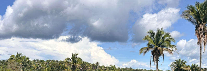 Do Volante à Ordenha: Uma Nova Vida no Campo