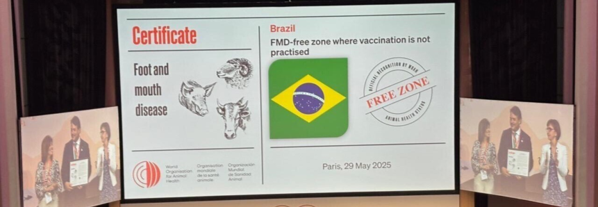 Mato Grosso celebra conquista histórica em Paris com reconhecimento do Brasil como livre de febre aftosa sem vacinação