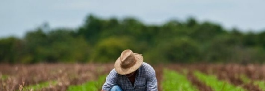 Sistema FAEP orienta produtores sobre prorrogação das parcelas de crédito rural
