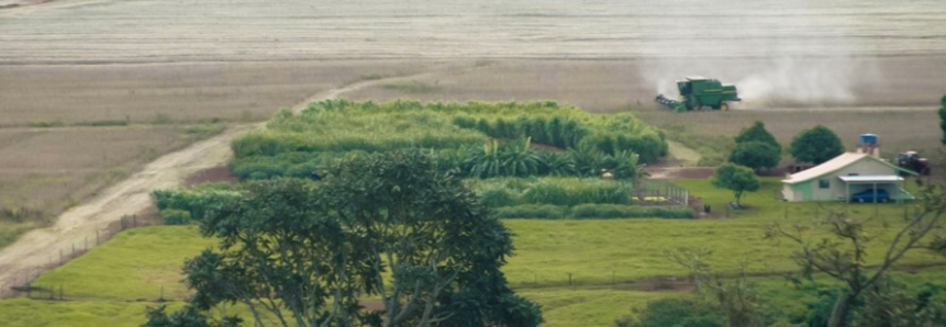 CT de Meio Ambiente debate mudanças no licenciamento ambiental e nas regras de uso do fogo