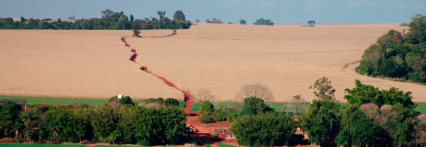 Após articulação do Sistema FAEP, aplicação do Código Florestal é retomada no Paraná