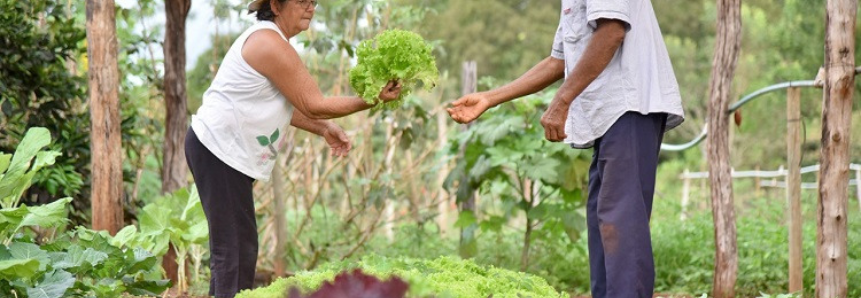 Atendimento ao cliente e comercialização de produtos agropecuários é tema de curso gratuito do Senar/MS