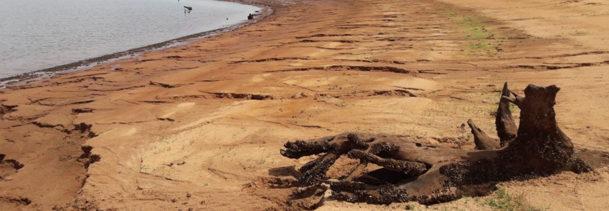 Em situação de emergência, Paraná pode restringir outorga da água à agropecuária