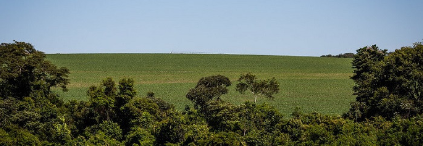 CNA e Federações debatem licenciamento ambiental no Brasil