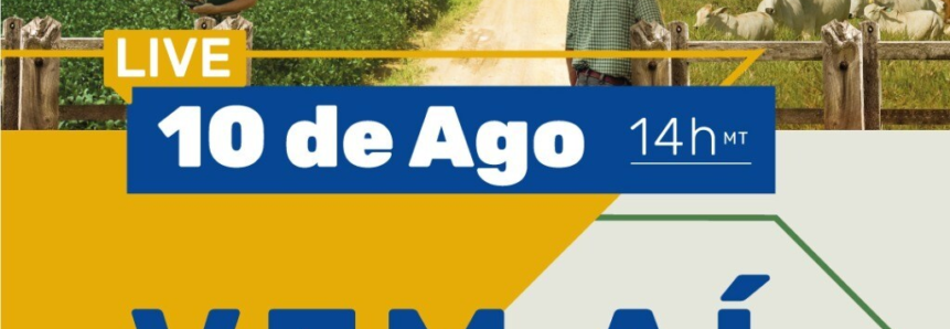 Imea promove a 2ª Live do projeto Rentabilidade no Meio Rural