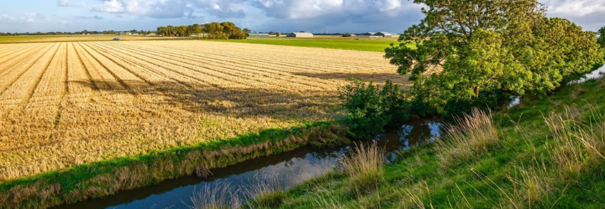 Uso da água no campo exige autorização; veja o que fazer para ficar em dia com a Lei