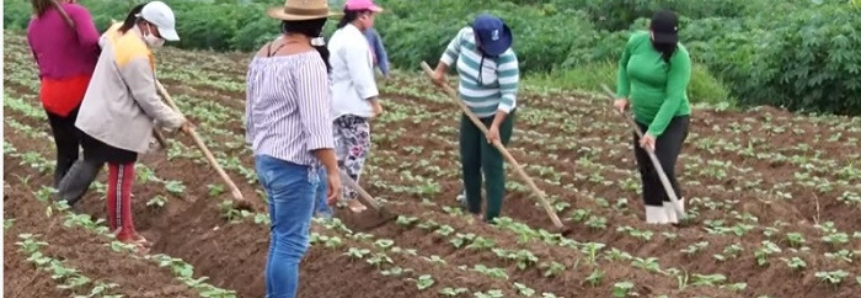 União e determinação transformam realidade de mulheres quilombolas em Alagoas