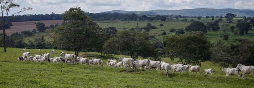 Projeto FIP Paisagens Rurais capacita equipes de campo