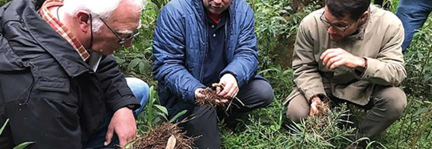 SENAR-PR lança curso sobre formação de florestas em áreas de preservação