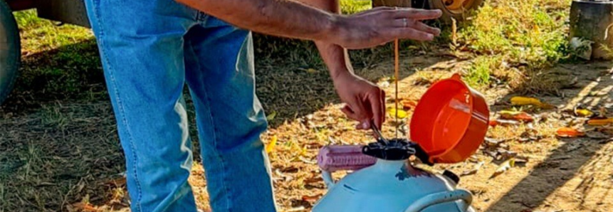 Curso de inseminação capacita trabalhadores em Pedro Afonso