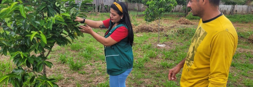 Agricultor de Boca do Acre vê produção de olericultura aumentar mais de sete vezes após chegada da ATeG no município