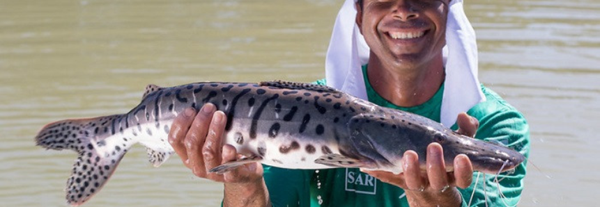 CNA debate alternativas para aumentar produção e consumo de pescados