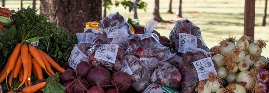 CNA discute base de dados da Conab sobre o setor de hortifrúti