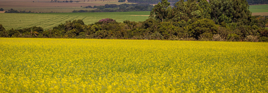 CNA reúne Comissão Nacional de Meio Ambiente