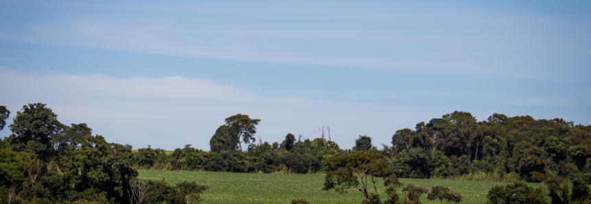 Cuidados que devem ser tomados ao adquirir uma propriedade rural