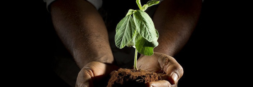 Sistema CNA/Senar e líderes internacionais debatem futuro da alimentação