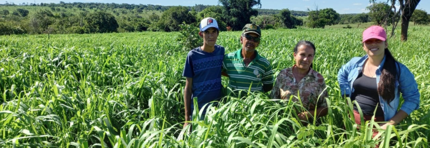 Família de produtores que pensava em vender sítio retoma ânimo com as transformações do Senar/MS