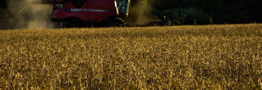 CNA debate Plano Agrícola e Pecuário 2021/2022 em audiência na Câmara